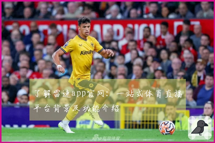 了解雷速app官网：一站式体育直播平台背景及功能介绍