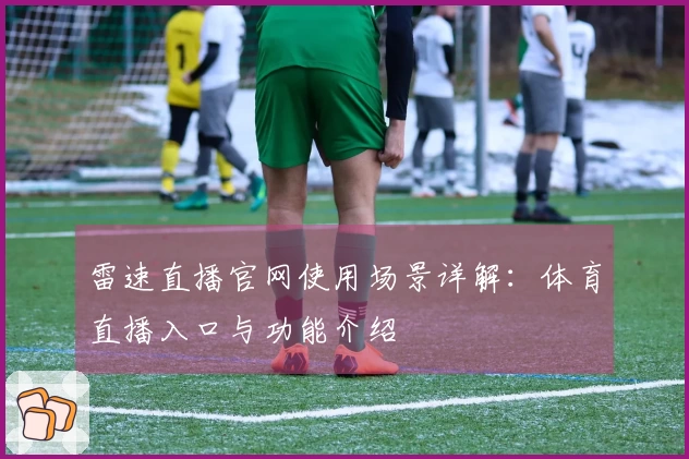雷速直播官网使用场景详解：体育直播入口与功能介绍